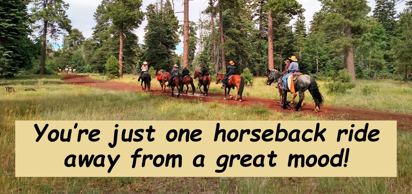The clock is ticking to Opening Day! 🐎🌲