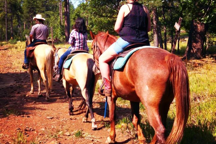 a group of people riding horses